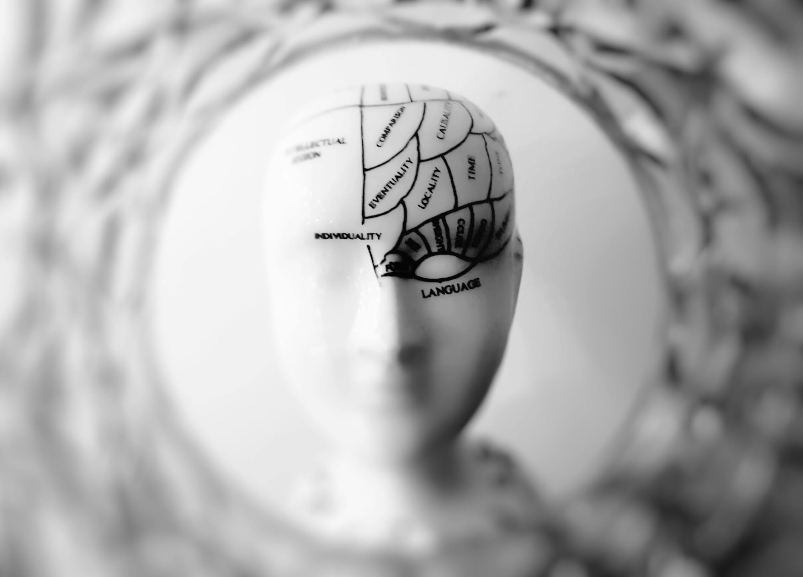 Home Close-up black and white image of a phrenology head with brain sections labeled.